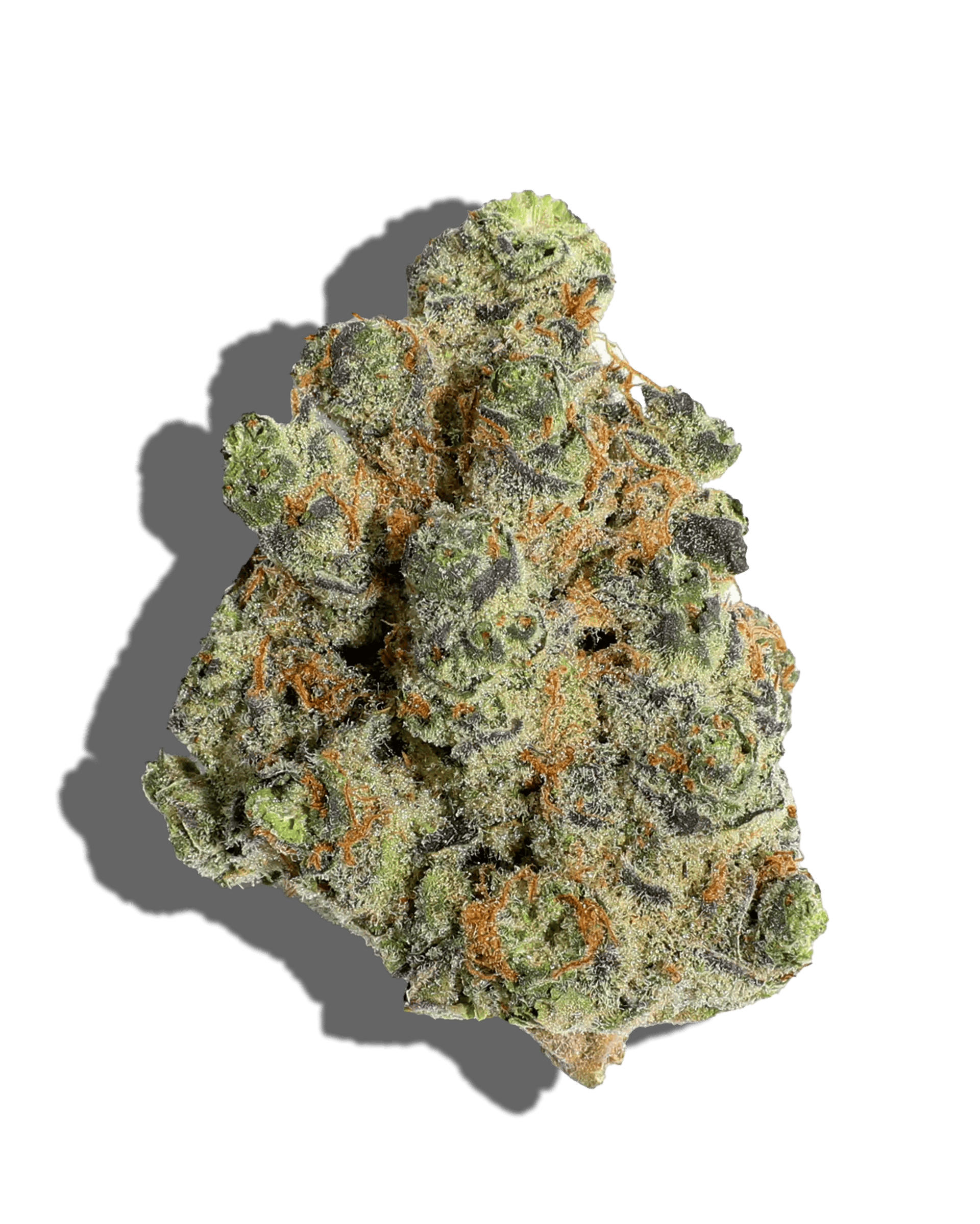 DISTRO 10 GATSBY CANNABIS CO. | SLAP N TICKLE | PRE-PACK HYBRID — FLOWER