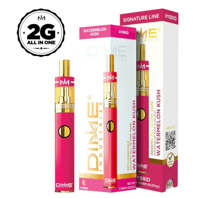 Dime Industries - AIO Vape - Blueberry Lemon Haze - 2G
