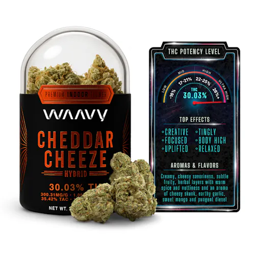 Cheddar Cheeze | Flower | 3.5g-active