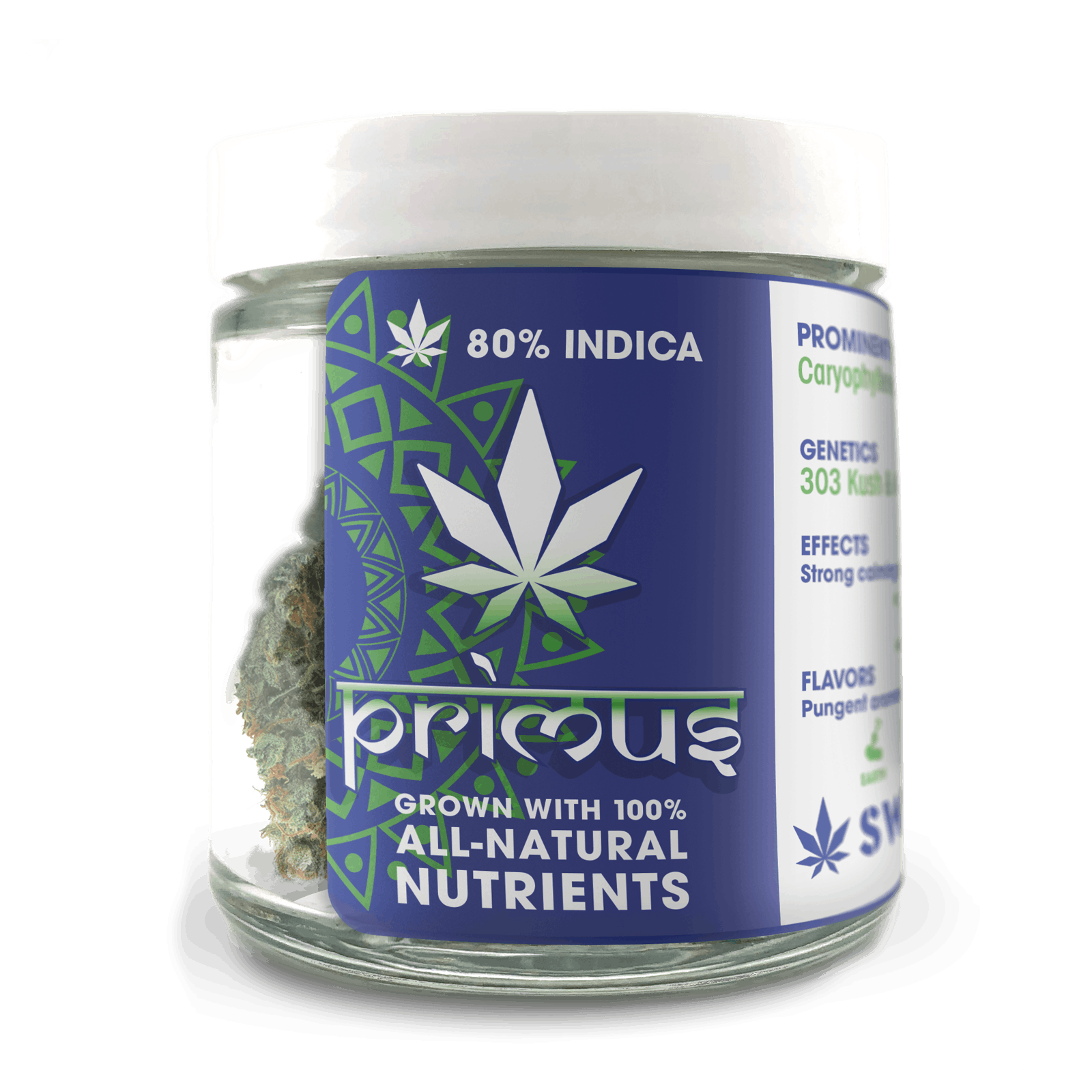 Primus in Zips Downtown