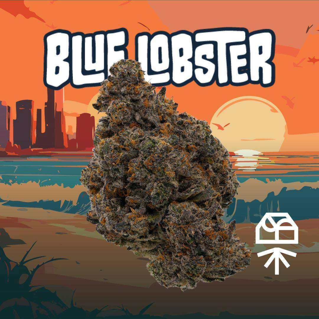 Grassroots Blue Lobster - Star Buds Cannabis Dispensaries Cannabis  Dispensary in NY, MD, MS, IL, OK