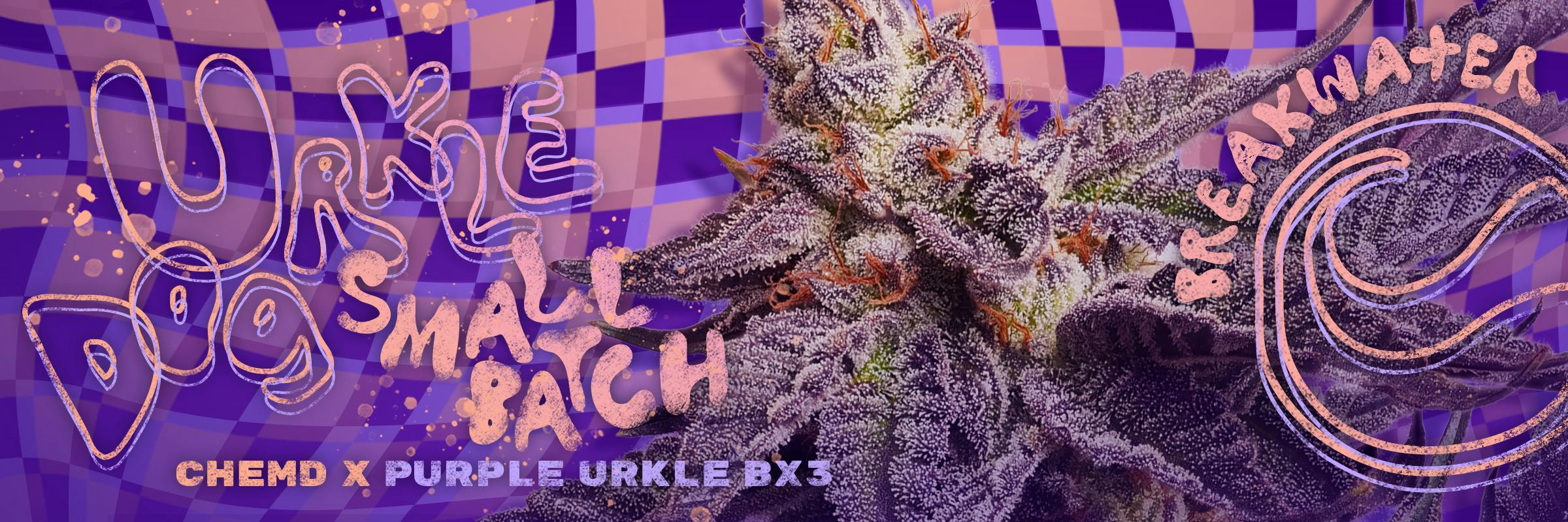 Breakwater Small Batch Urkle Dog, ChemD x  Purple Urkle Bx3