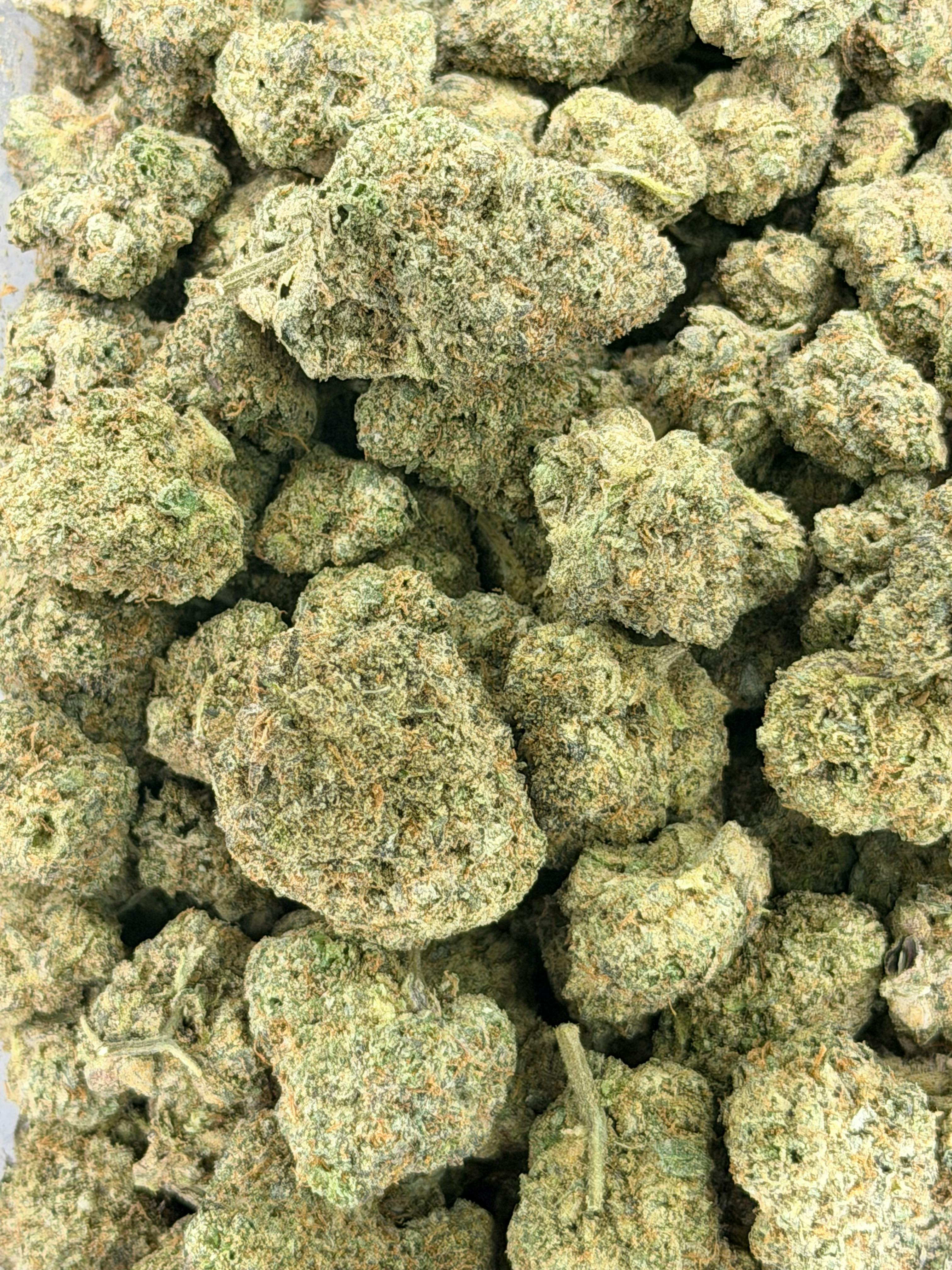 Bacio Gelato | Deli Flower (Gold)