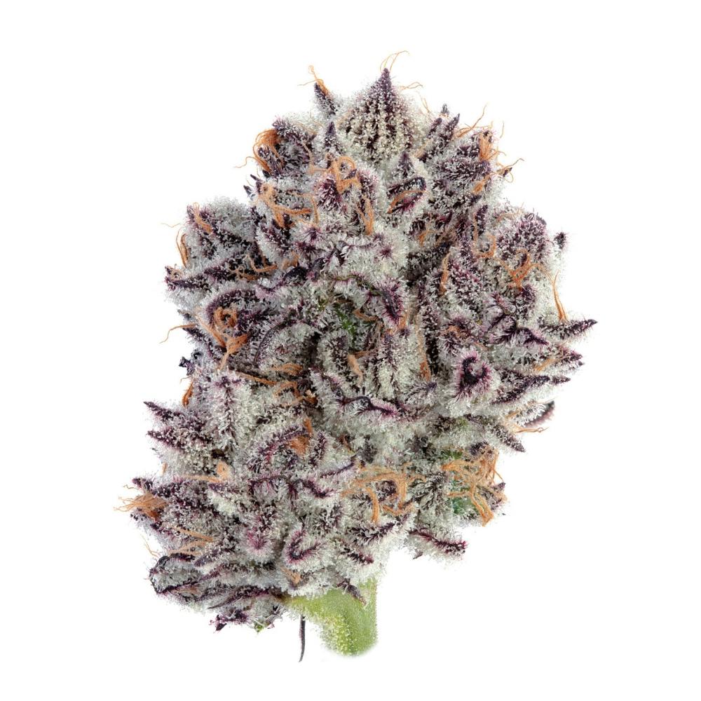 Flower 3.5g Garlic Icing (Classic) East boston, MA Happy Valley