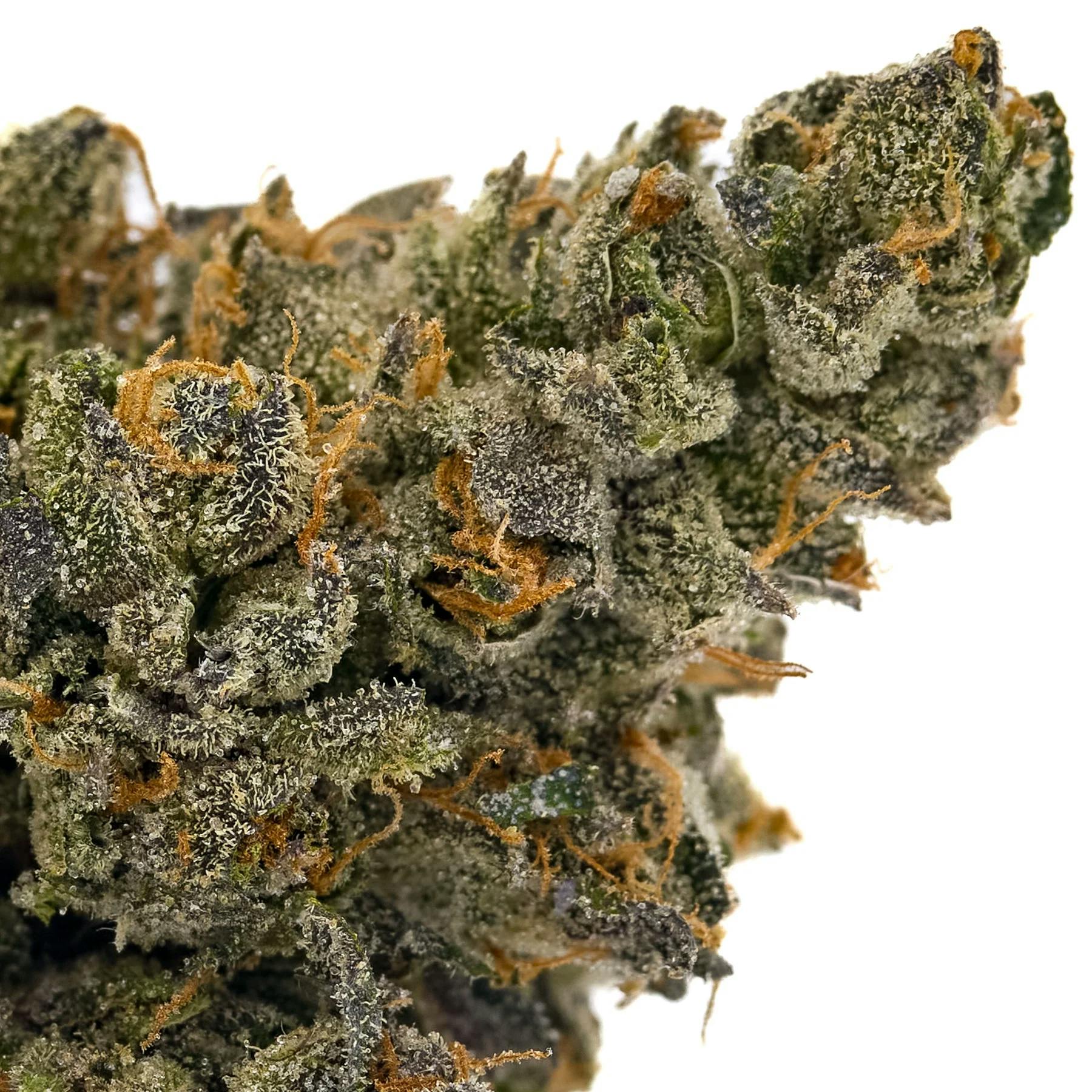 Flower | Moodz | Super Glue | 7g