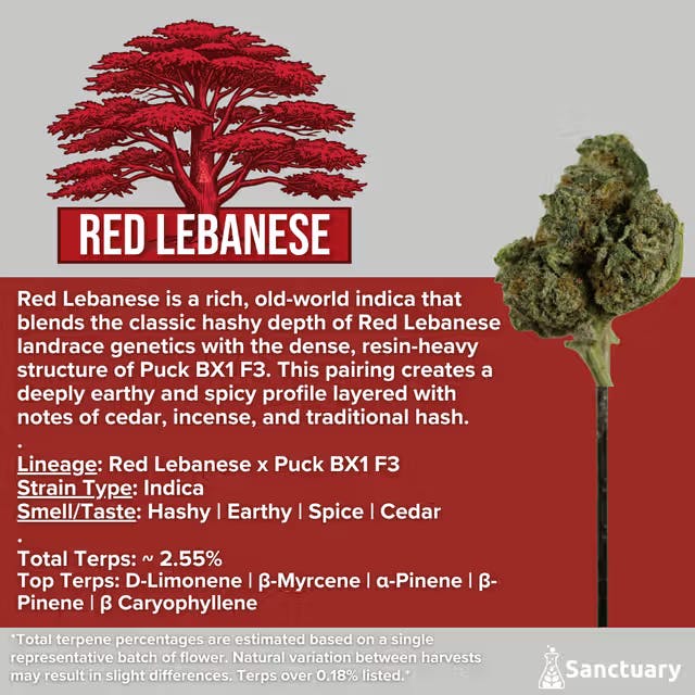 Sanctuary - Flower 3.5g - Red Lebanese