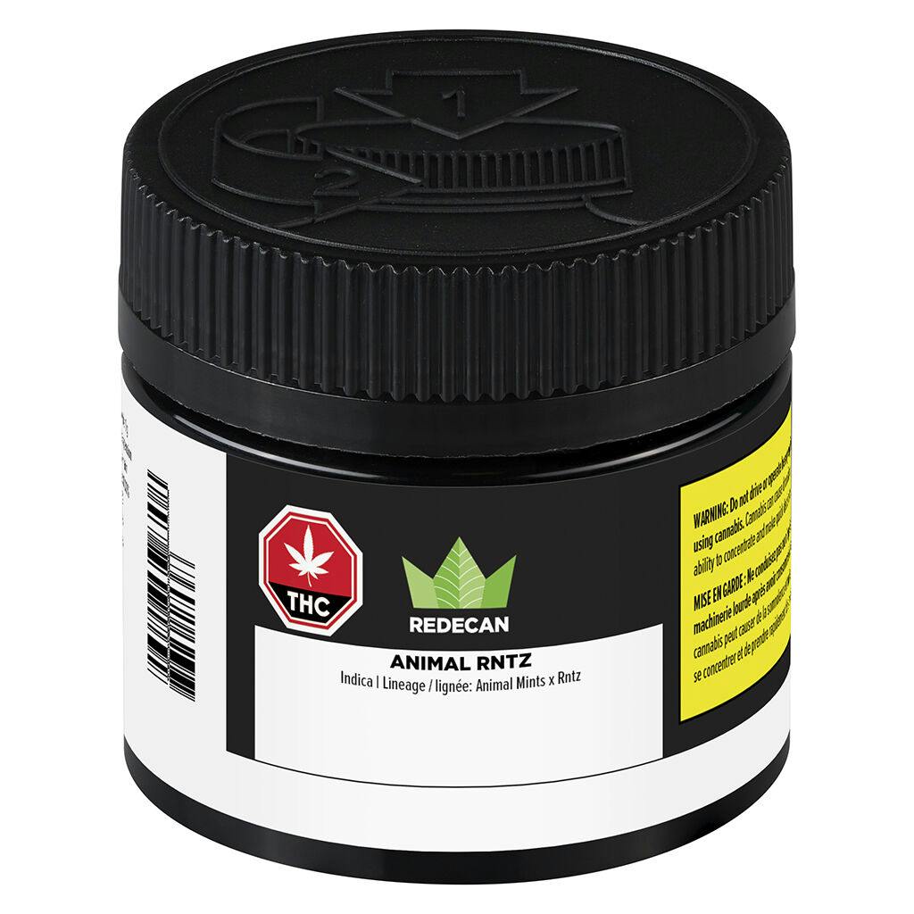 Redecan - animal rntz