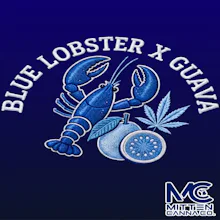 Mitten Canna Co. - 14g Prepack Jar - Blue Lobster Guava - FLOWER by Mitten Canna Co. at King of Budz