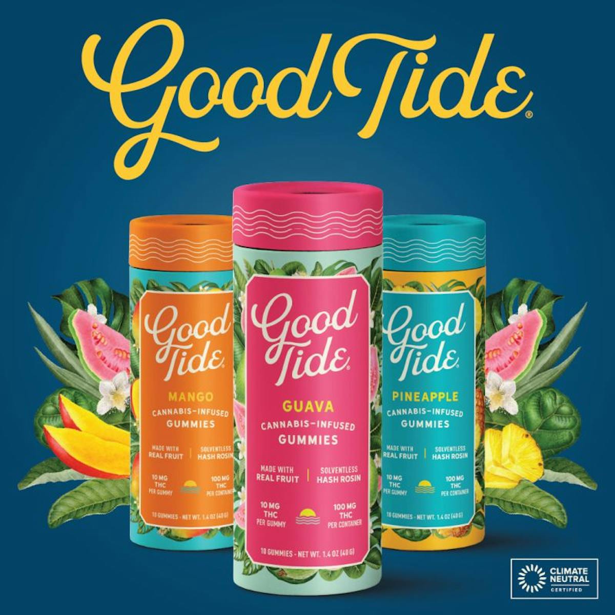 Photo of Good Tide | Pineapple 10pk Gummy | 100mg