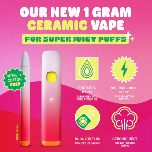 SNACKBAR  – Watermelon Lychee – Disposable 1g-3