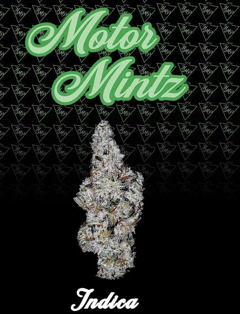 Product Motor Mintz Buds