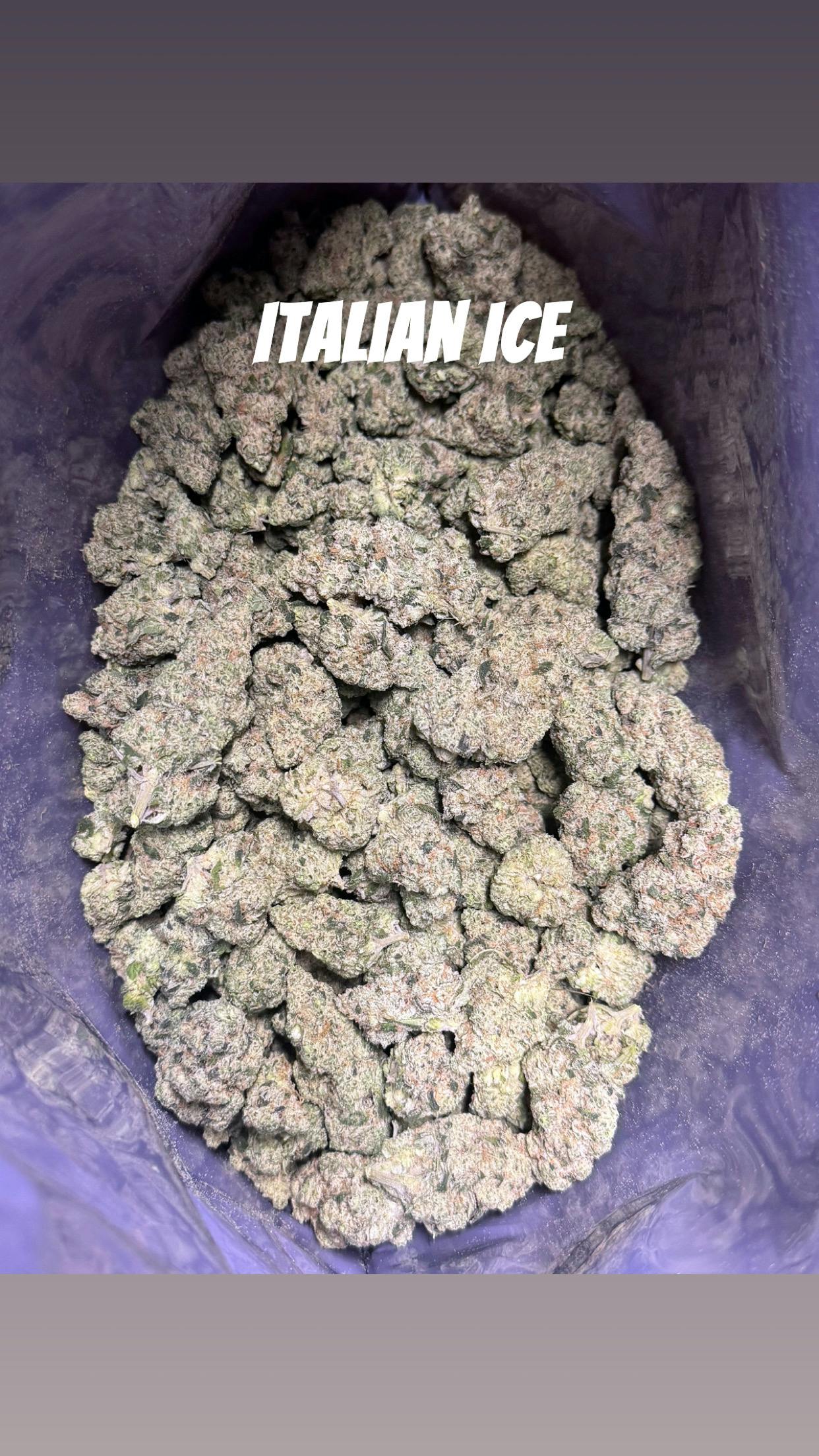 Product: AHKI Canna | Italian Ice | Hybrid | Bulk Flower | Gold