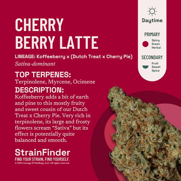 Cherry Berry Latte (S) - 14g Buds - The Botanist