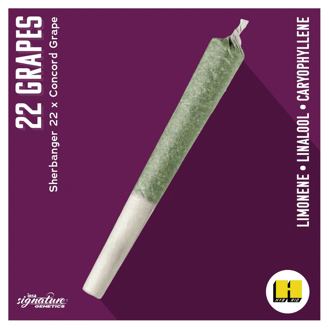 Pre-Roll - 22 Grapes