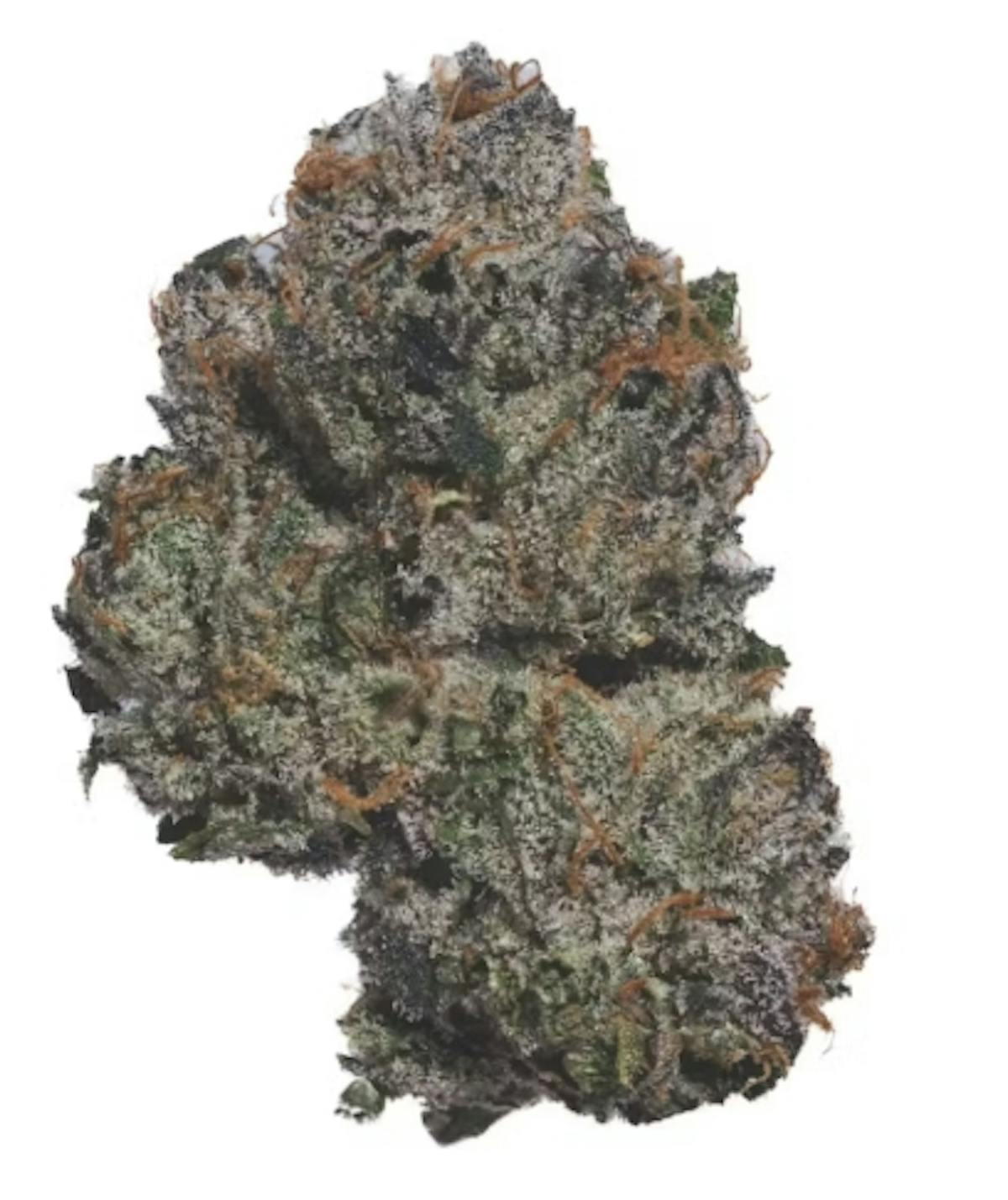 Photo of Blue Zushi 3.5g Flower Hazel