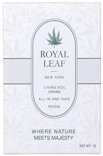 Product Royal Leaf - Orange Push Pop - 1g - Rosin AIO