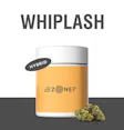 Pre-Pack Whiplash