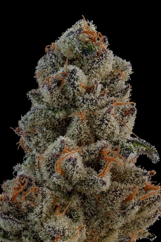 Genuine Grow Flower Pomelo Punch 3.5g (sativa hybrid, whole flower)