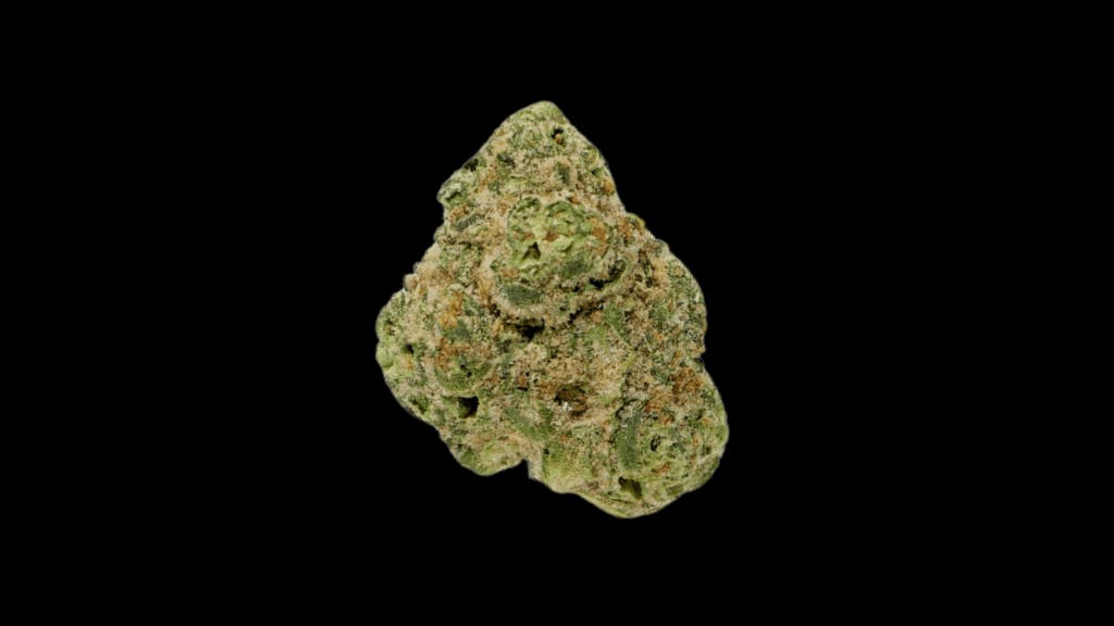 NITRAID【REAL WEED GROVE】