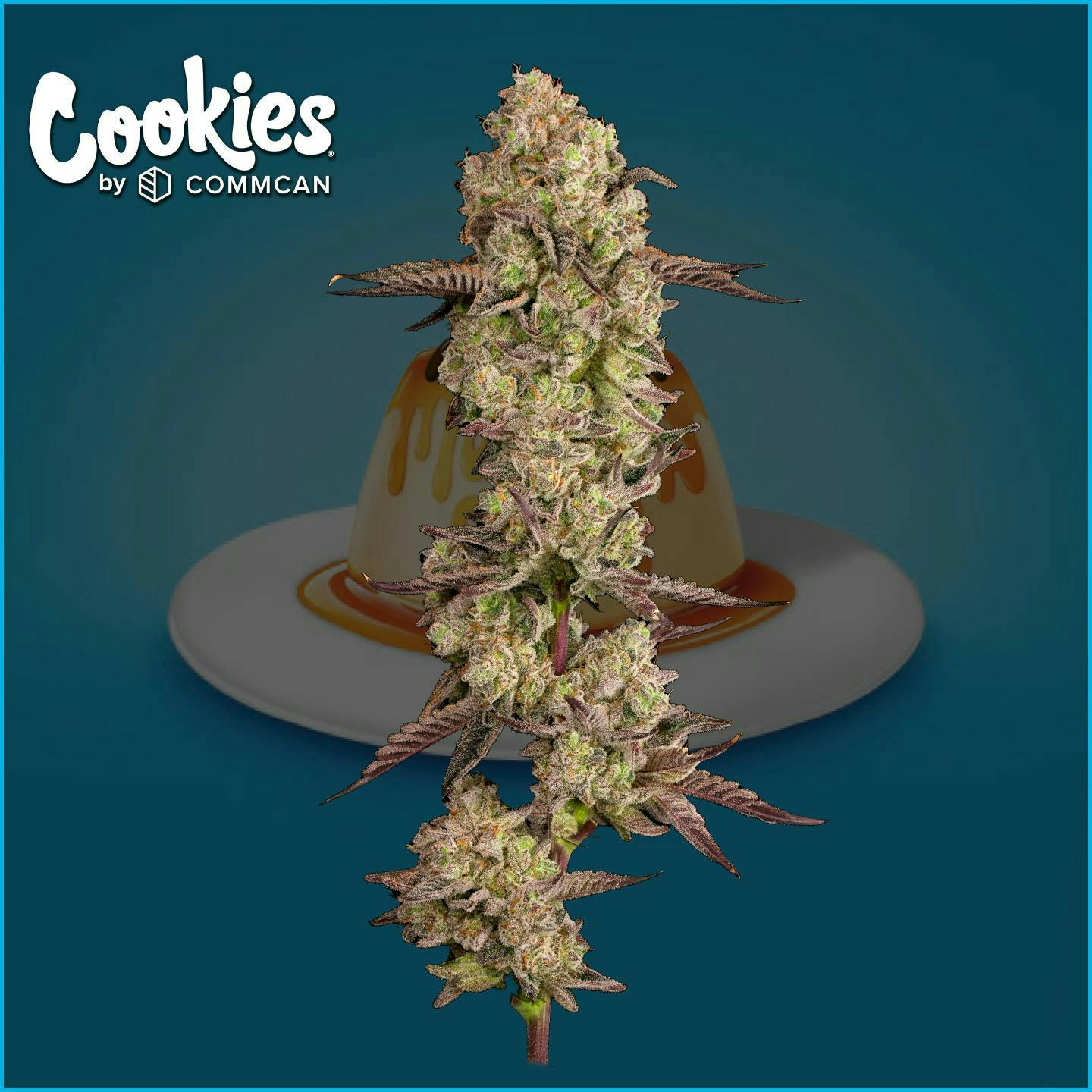 Product Mexican Flan | Flower | 3.5g