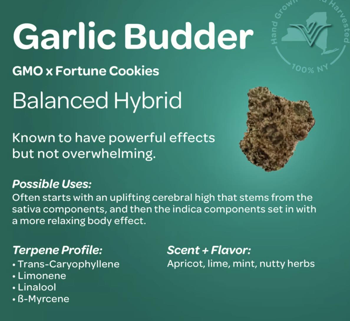 Vireo Indoor Hybrid Flower 3.5g- Garlic Budder-2