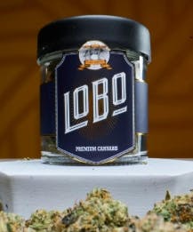 Lobo Flower | 3.5g | Trop Runtz