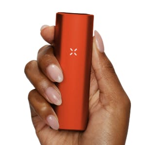 Product: PAX Mini | Poppy