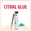 CIG