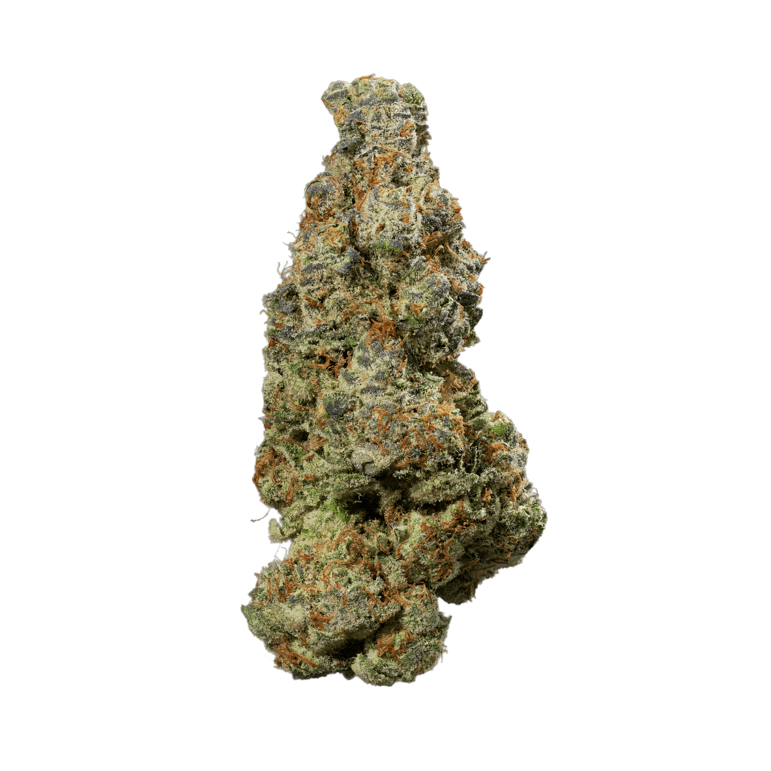 Product: Omnino | Bulk Bud - Delicata Cookies