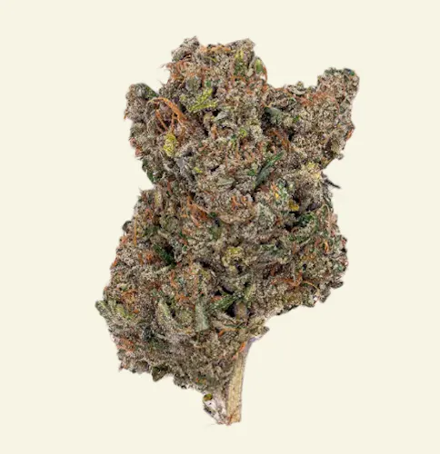 INSA Sunshine Daydream 3.5g-1