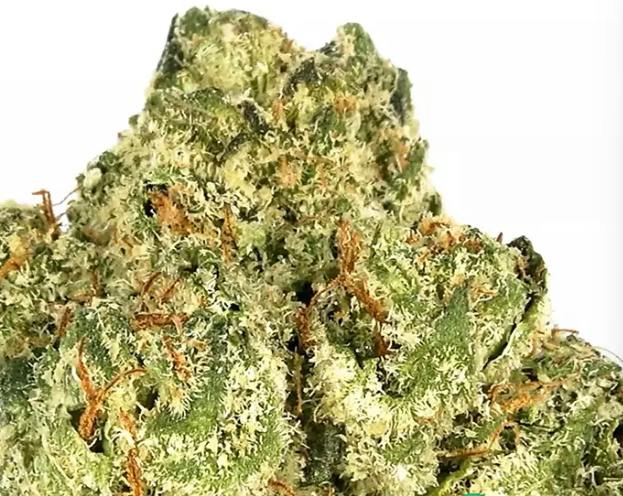 Product Do Si Dos Buds