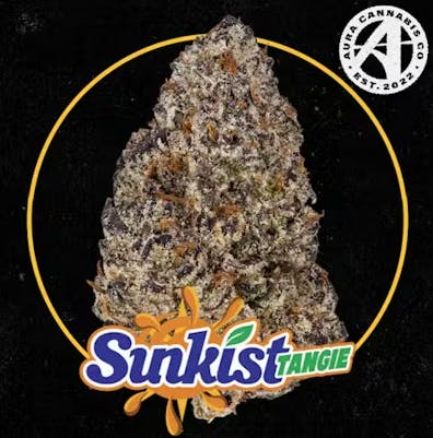 Product Aura | Sunkist Tangie | Flower