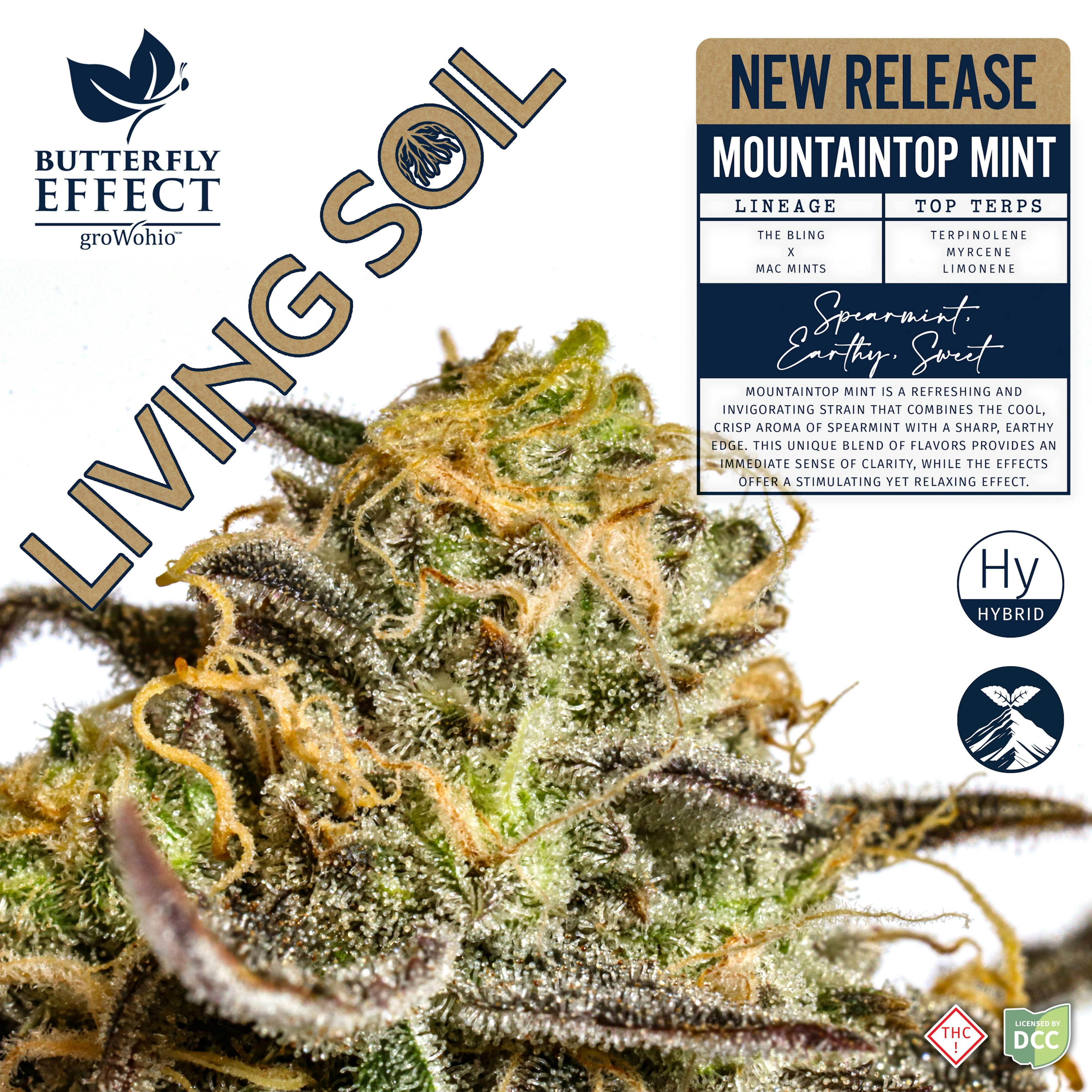 Mountaintop Mint Living Soil