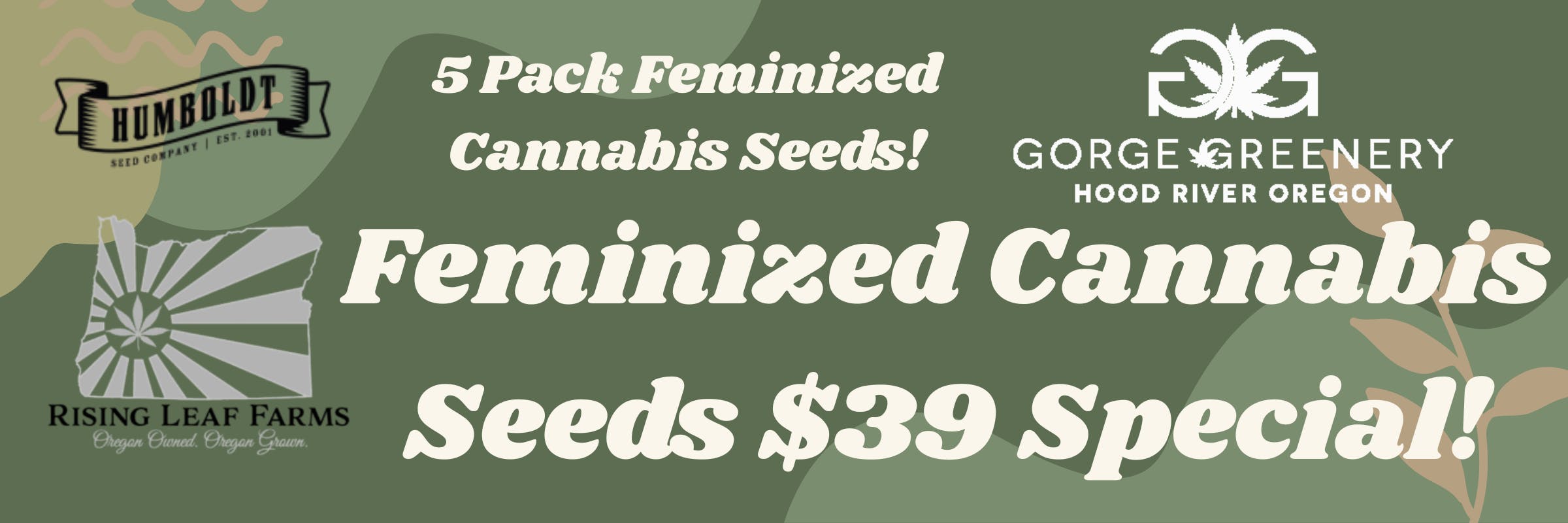 Cannabis Seeds, Cannabis, Grow, Growing, Greenthumb, Oregon, Oregon Cannabis Seeds, Feminized, Feminized Cannabis Seeds, Recreational, Medical