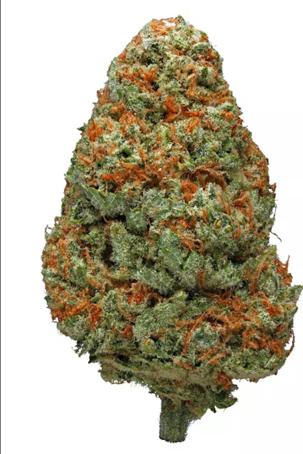 Image of Shire | 3.5g