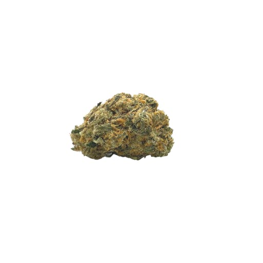 Mana Supply Co. (Edgewater)