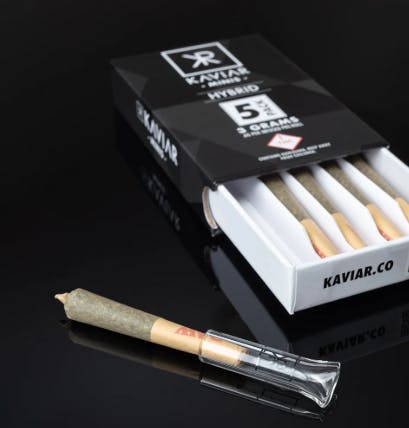 Gastronaut Infused Pre-Rolls 3g 5pk