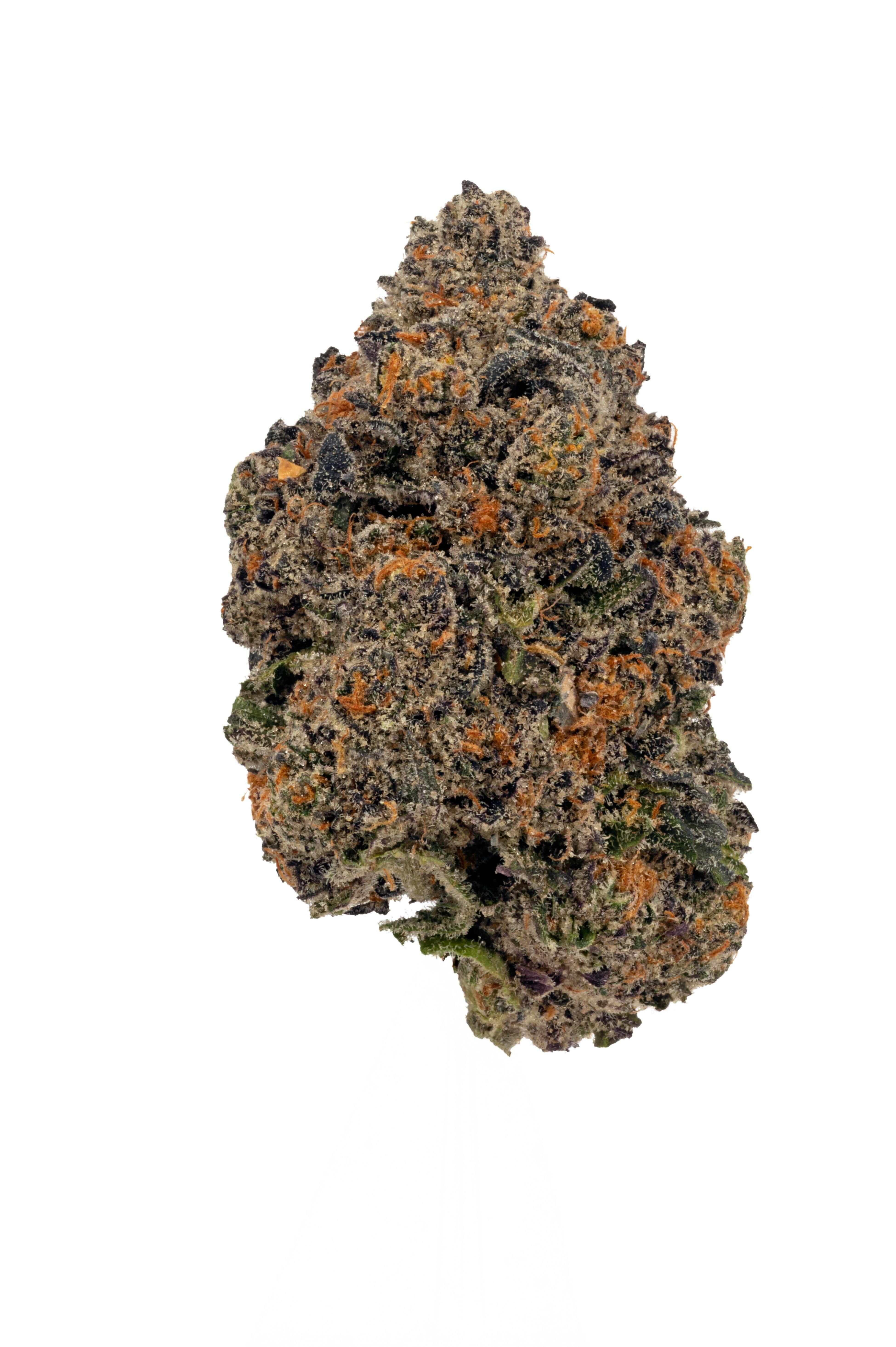 Photo of Purple Milk