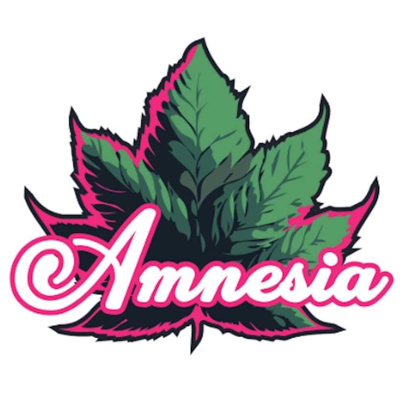 Amnesia - Watermelon Freeze 1.3g Bubble Hash PR