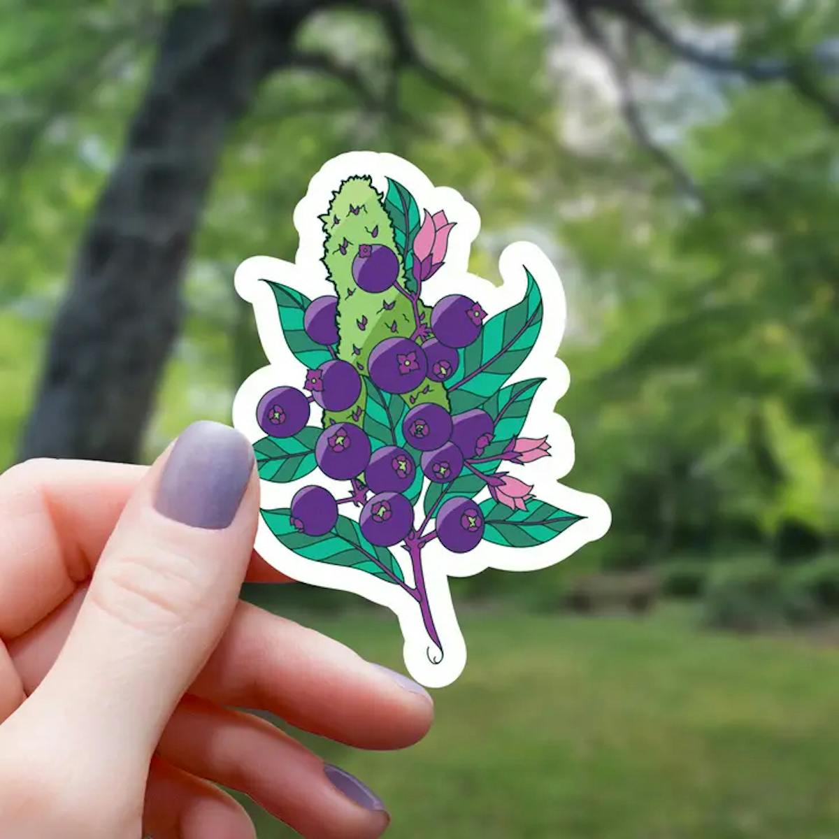 Image of Blueberry Kush | Vinyl Sticker