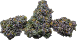 Flower category image