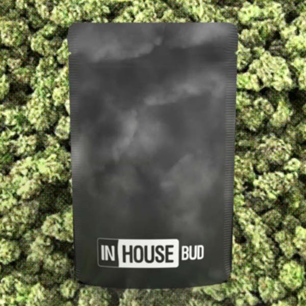 Butterscotch x Sunshine Daydream (H) - 14g - In House