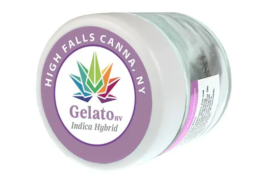 High Falls Canna | Gelato HV | Flower-active