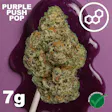 Purple Push P