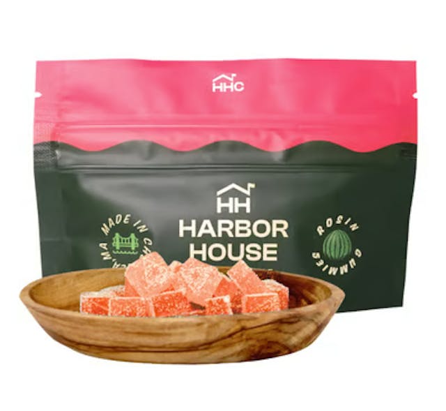 Sour Watermelon (H) - 100mg Rosin Gummies - Harbor House - Image 1