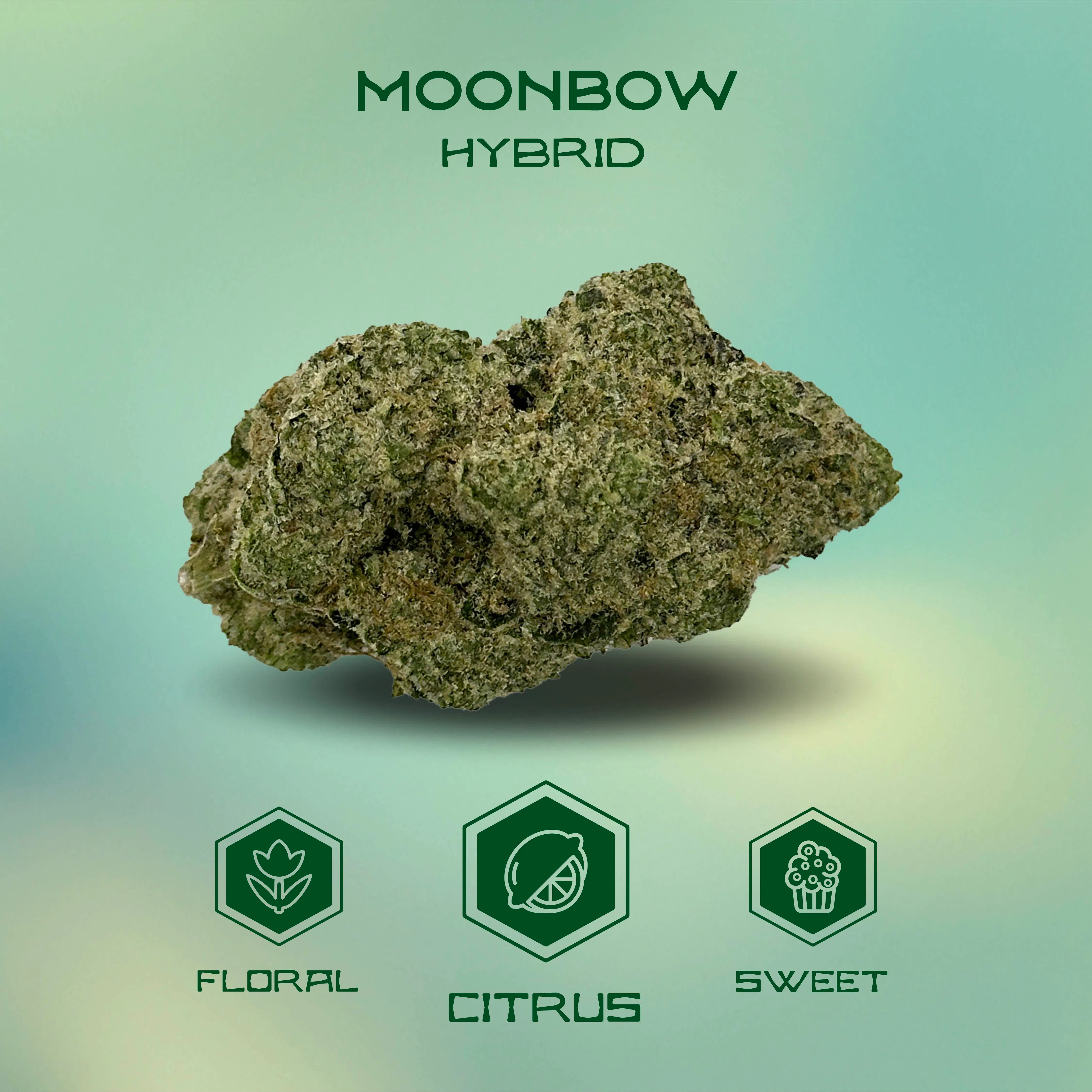 Flower | Island | Moonbow | Mission (South Chicago)