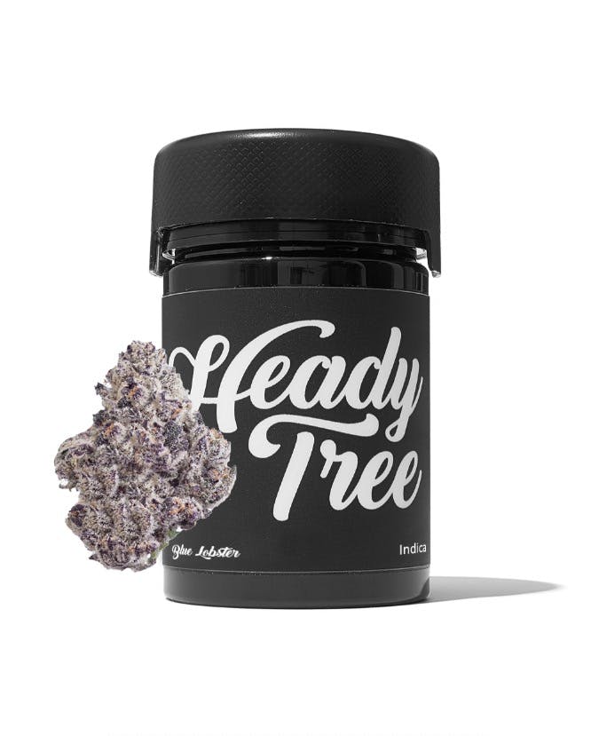 Heady Tree - 3.5g Flower Jar - Blue Lobster