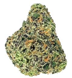 Trop Cherry | Uplyfted Cannabis Co.