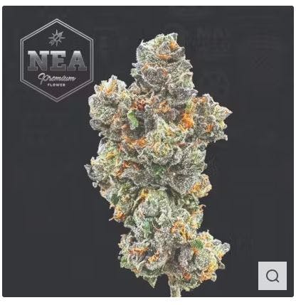 Product Canal Street Runtz Buds