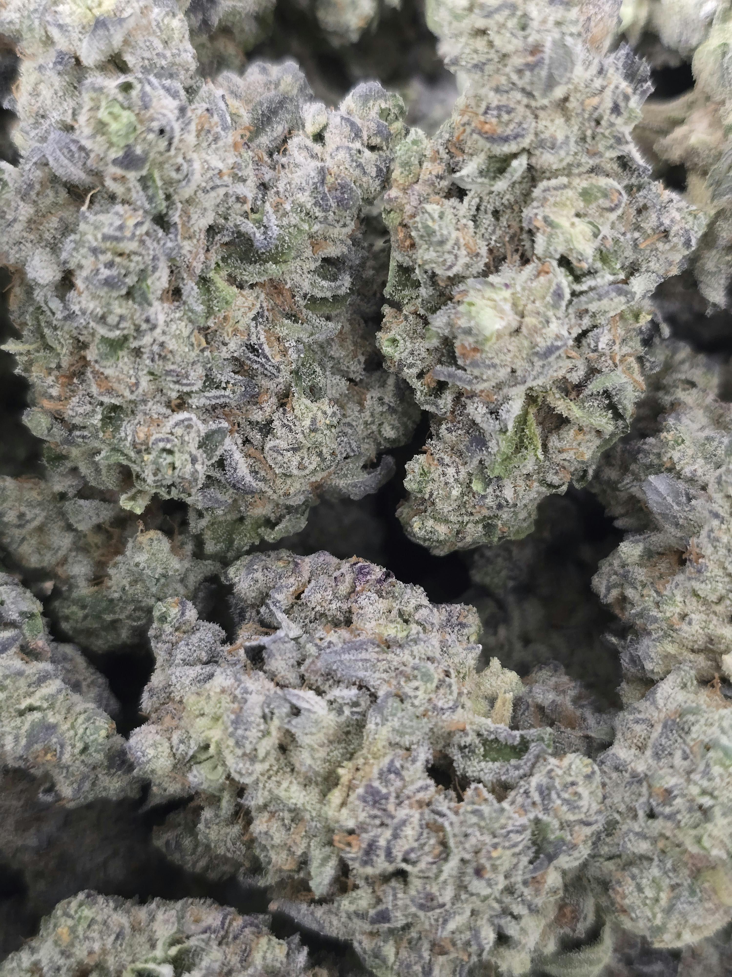 Beetle Juice | Eden East